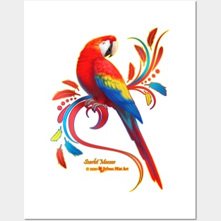 Scarlet Macaw Posters and Art